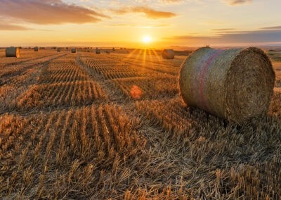 Un projet bénéfique pour le territoire